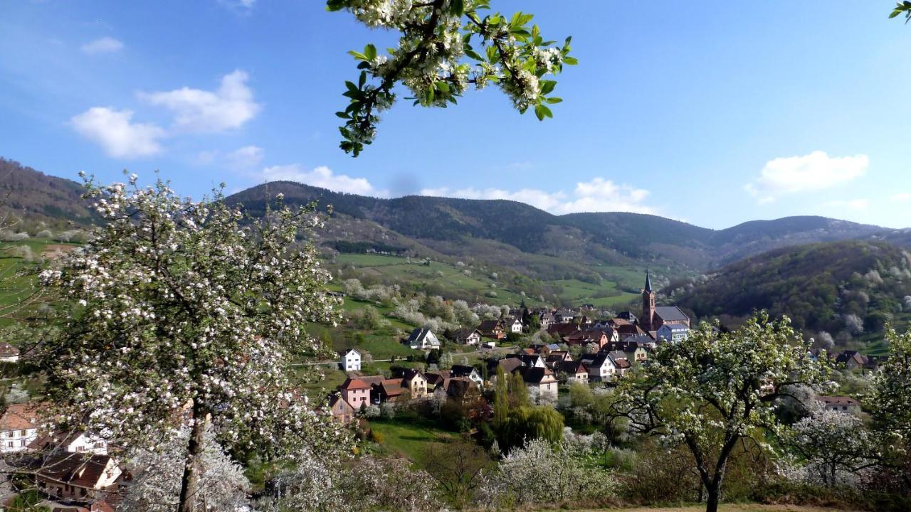 Les Gites La Cerisaie Breitenbach ภายนอก รูปภาพ